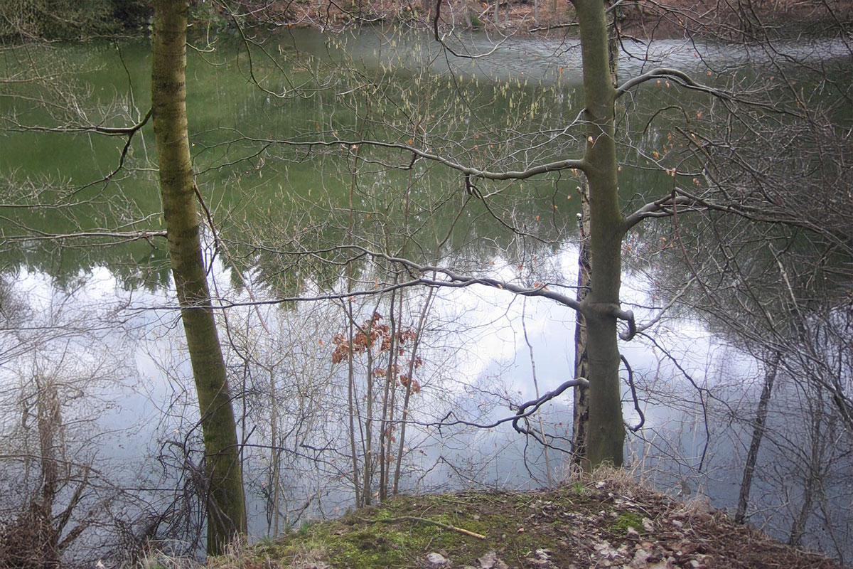 Blauer-See-Habichtswald